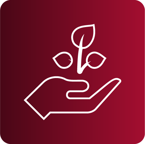 Ícone-Colhendo-Frutos-Emeli-Jacomini-Nutricionista