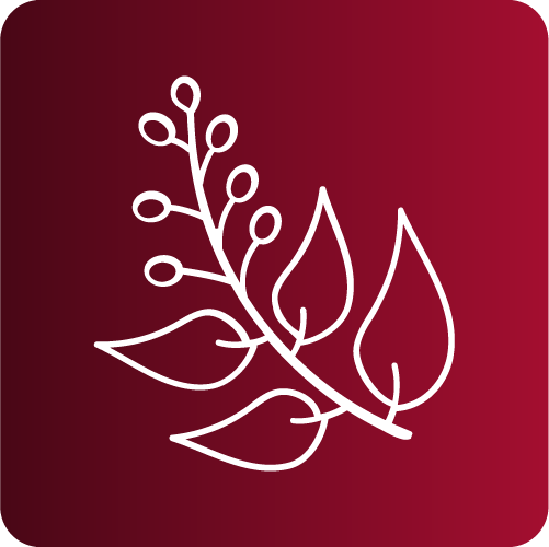 Ícone-Folhagem-Emeli-Jacomini-Nutricionista