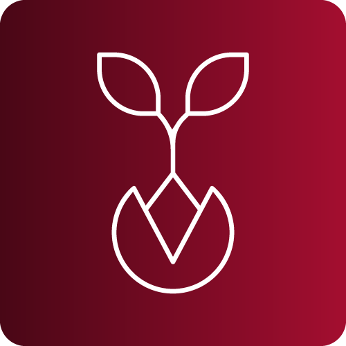 Ícone-Germinando-Emeli-Jacomini-Nutricionista